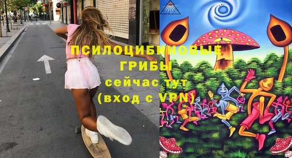 марки lsd Вяземский